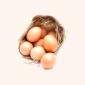 Chicken Egg