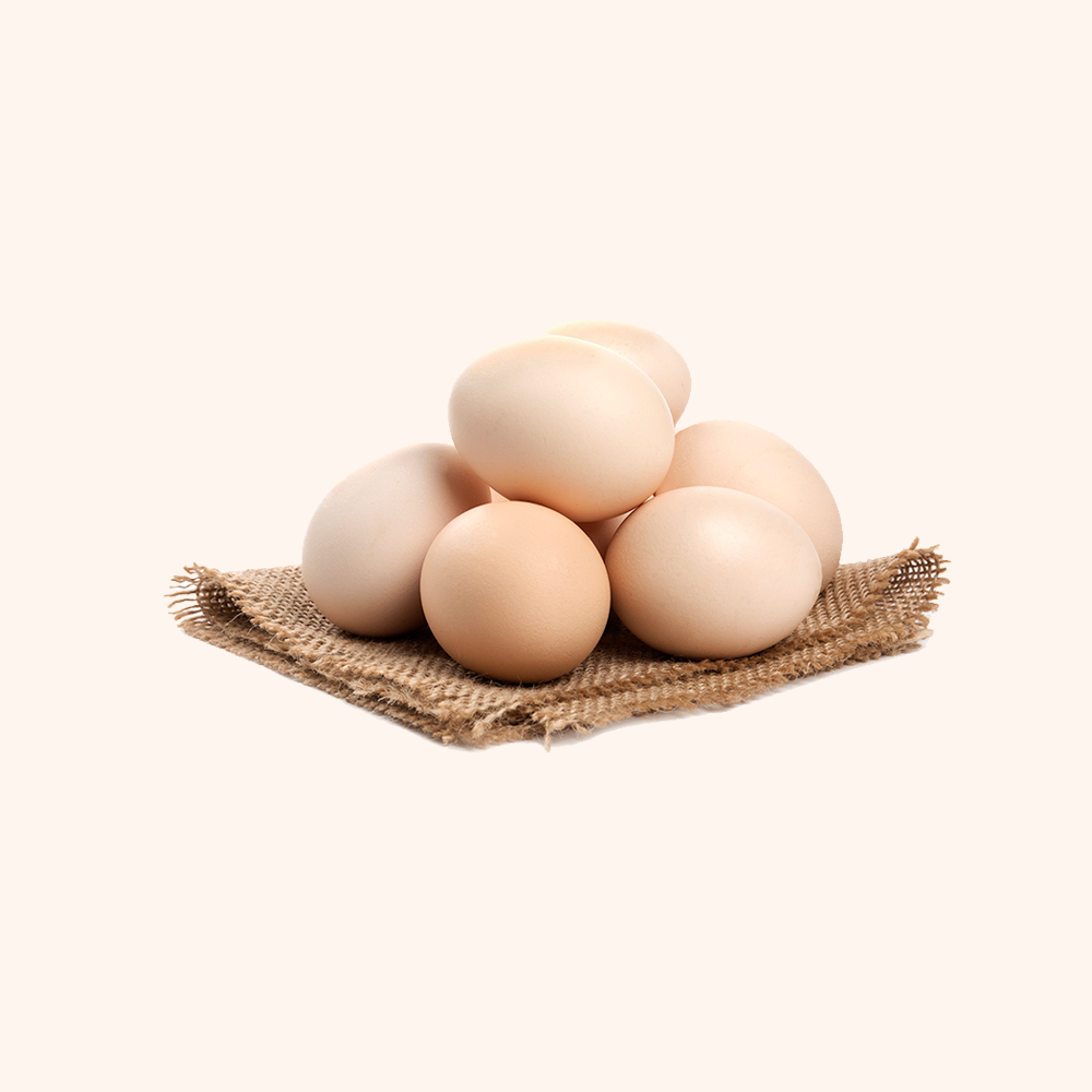 Brown Egg