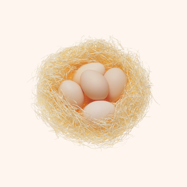 Nest Egg